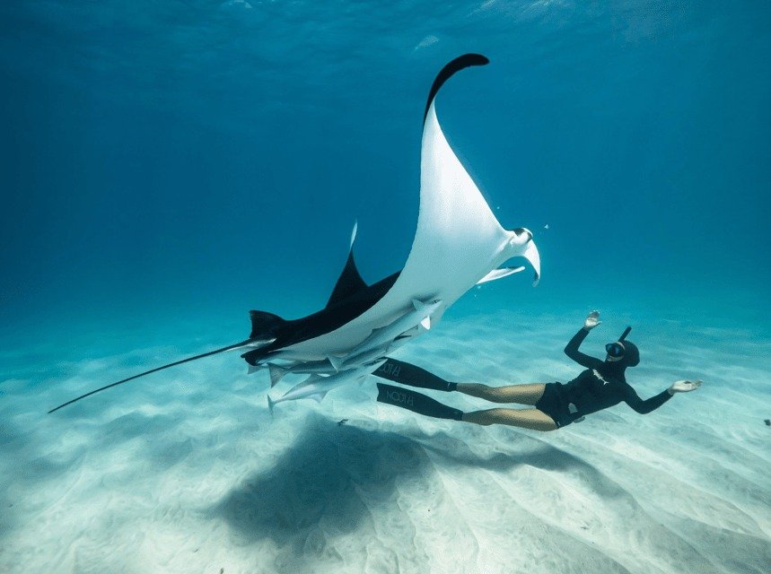 Snorkeling Spots in Nusa Penida